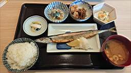 2021-11-16 12.16.37.JPG